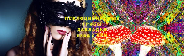 гидропоника Балахна
