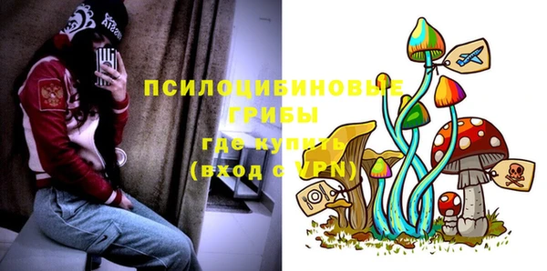 гидропоника Балахна