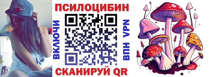 Галлюциногенные грибы ЛСД  Салаир 