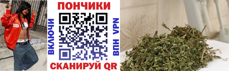 Конопля марихуана  Салаир 